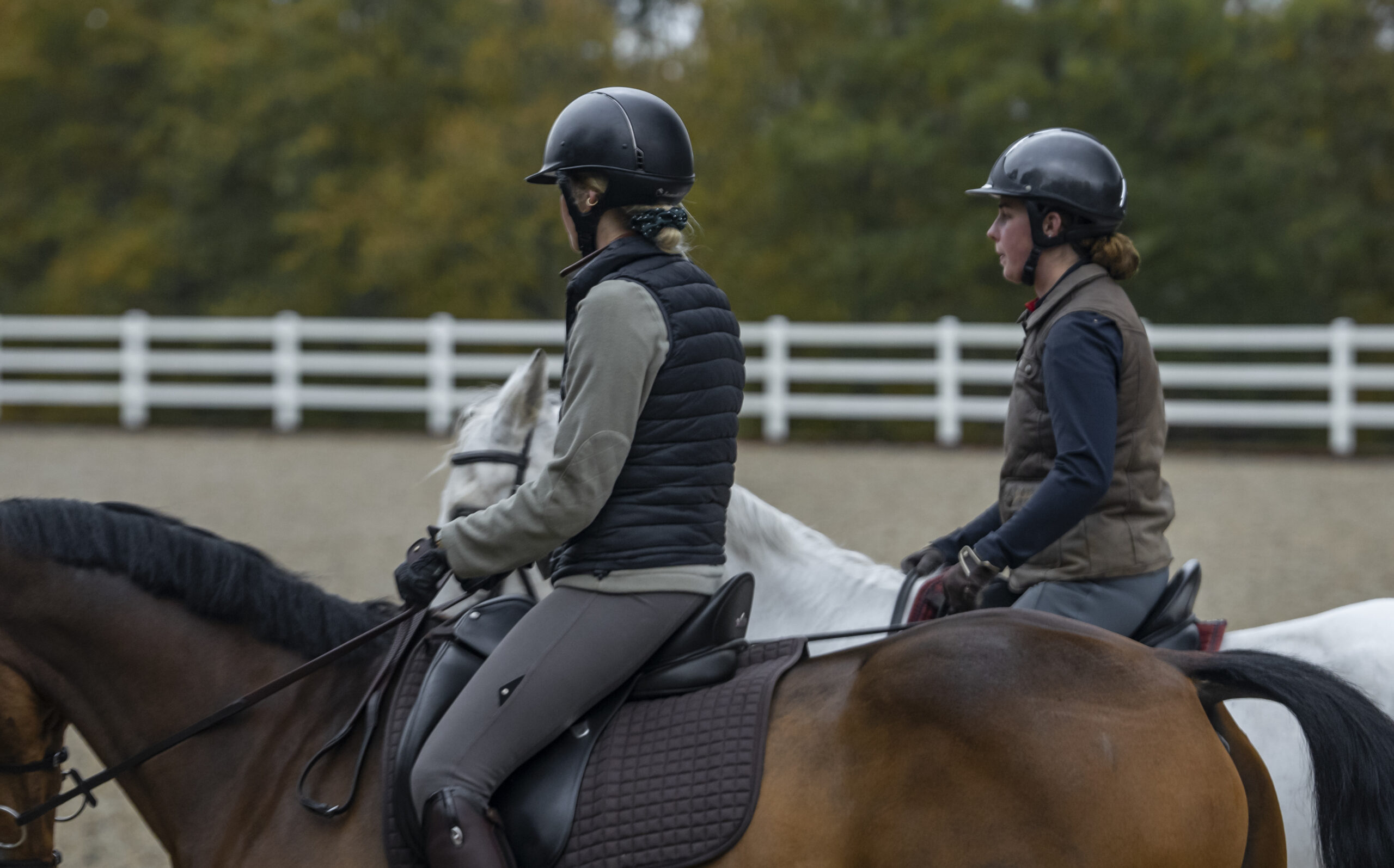 Two riders in the menage at Cortium estate