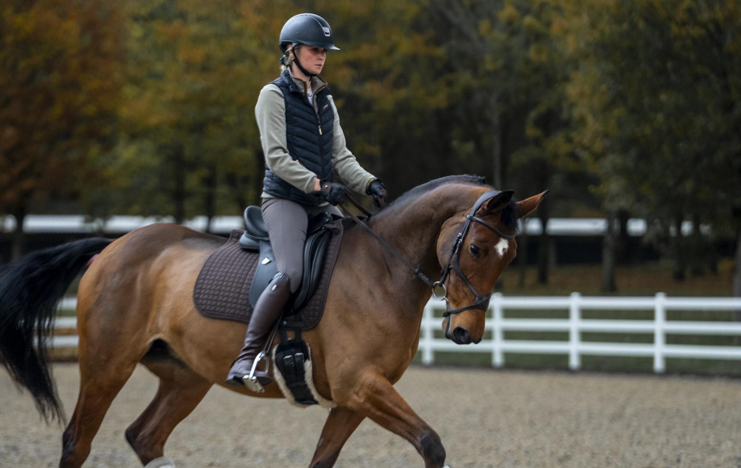 Horse being schooled at Cortium, a private equestrian estate offering livery and membership just outside London