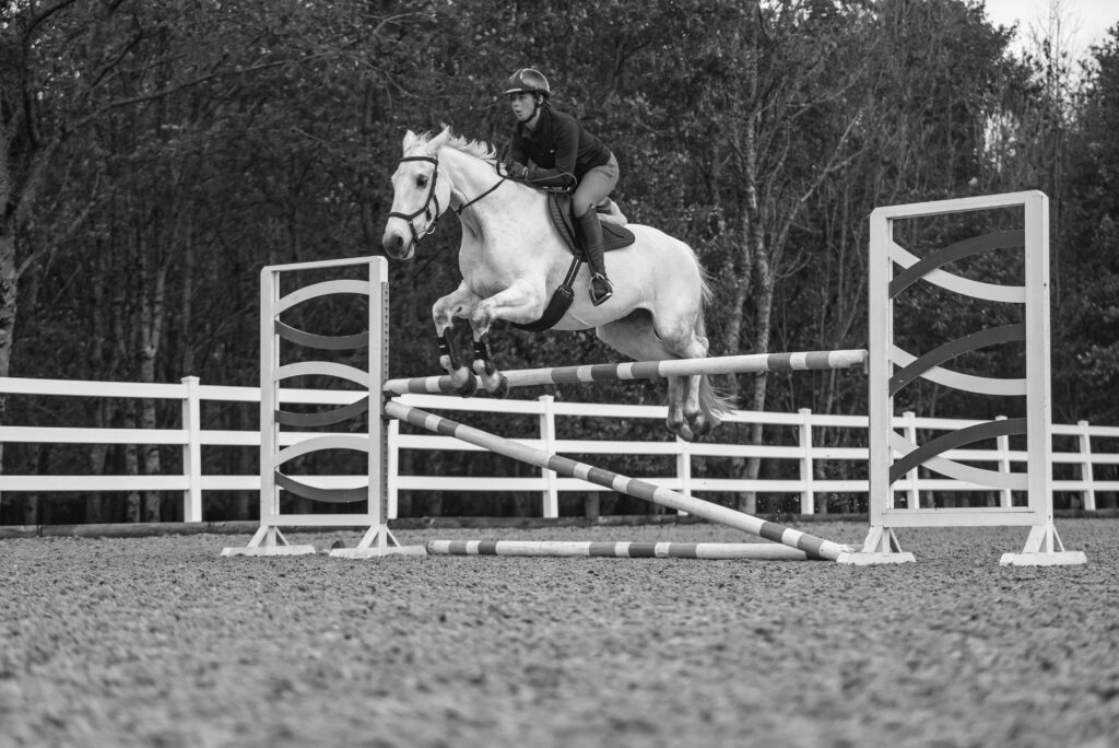 Horse showjumping on at the best livery yard in Surrey