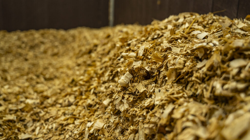 Comfortable stable environment with deep Bedmax bedding at Cortium estate