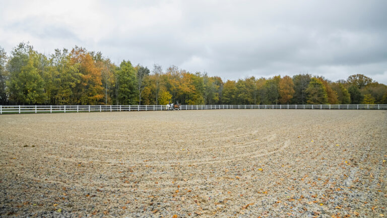 The best sand school in Surrey, at Cortium EQ near west London