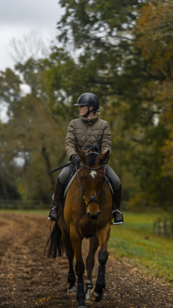 Gallops in Surrey for eventing horses, easy access from london